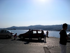 29-matning