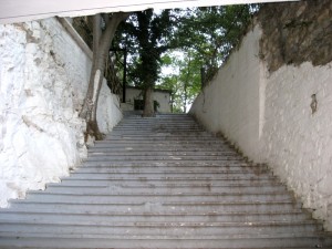 7-trappa