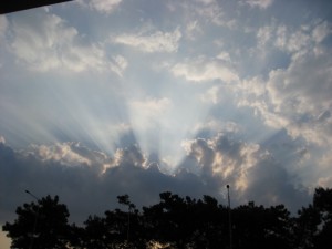 IMG_1611 IMG_1611