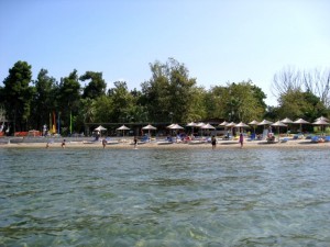 IMG_1635 IMG_1635