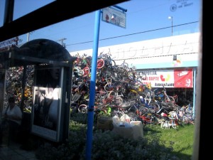 IMG_1649 IMG_1649