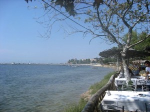 IMG_1659 IMG_1659