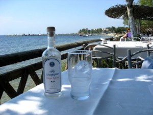 IMG_1663 IMG_1663