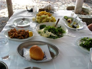 IMG_1677 IMG_1677