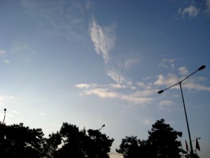 IMG_1729