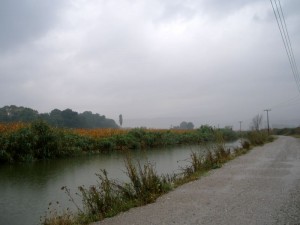 P9140319